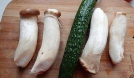 娱乐吃瓜酱麻绳,揭秘娱乐圈背后的麻辣故事